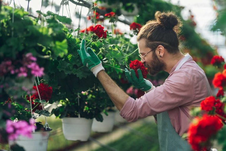 man-gardener-working-in-a-greenhouse-2023-03-22-05-08-44-utc