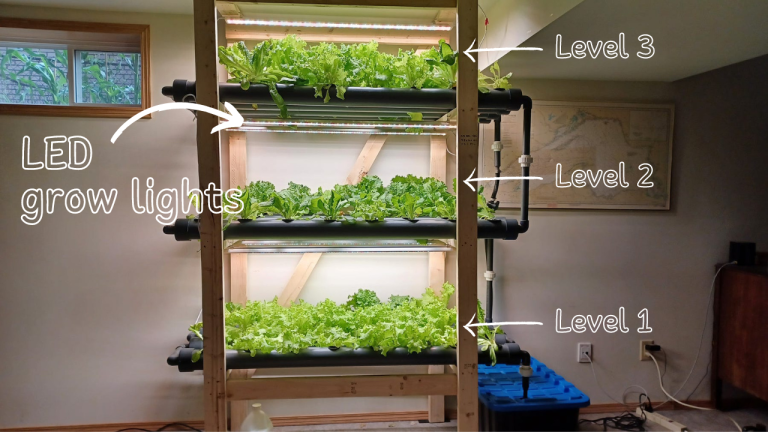 How to Build an Indoor Hydroponic Garden: Step-by-Step Guide - Garden