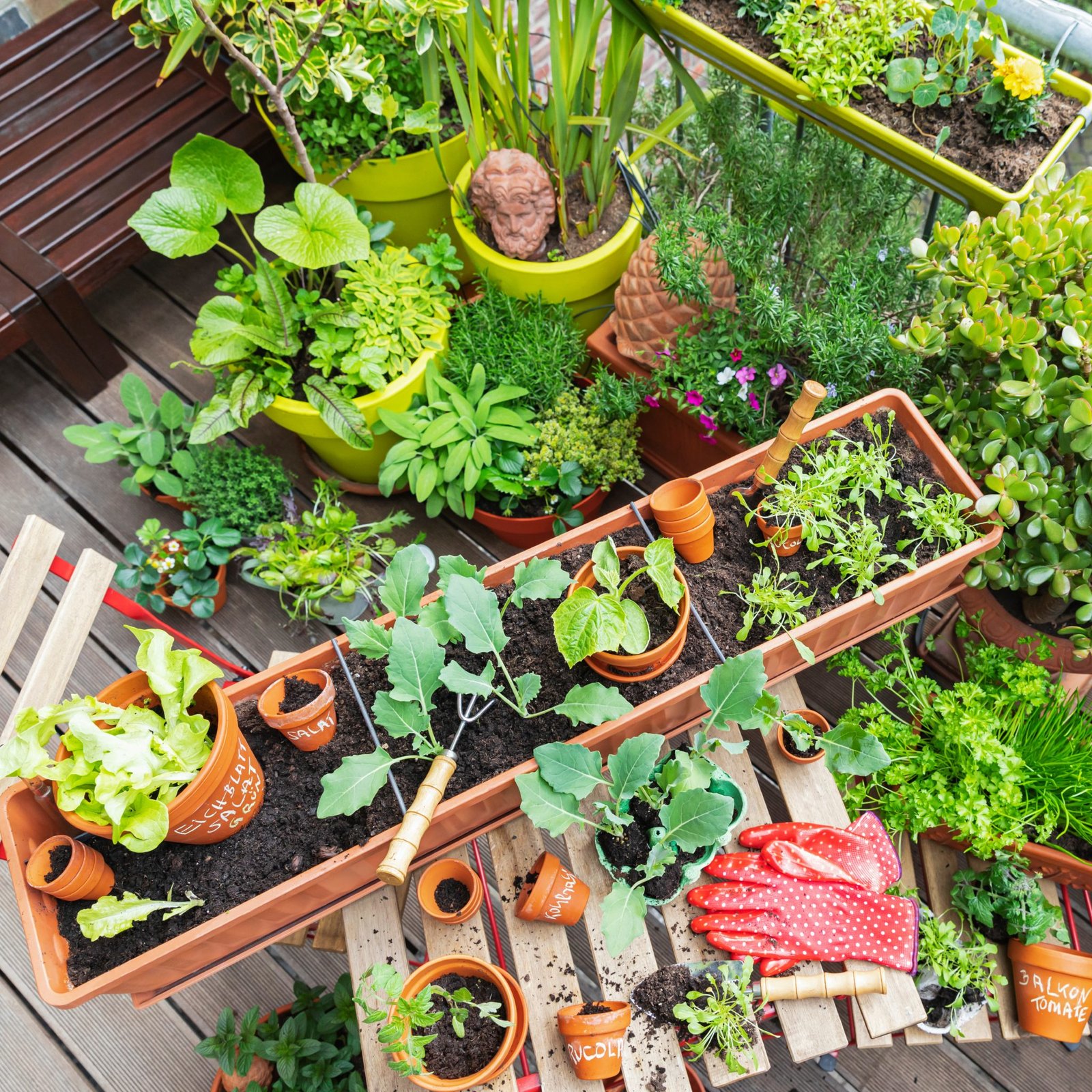 How to Design an Organic Vegetable Garden: Expert Tips - Garden