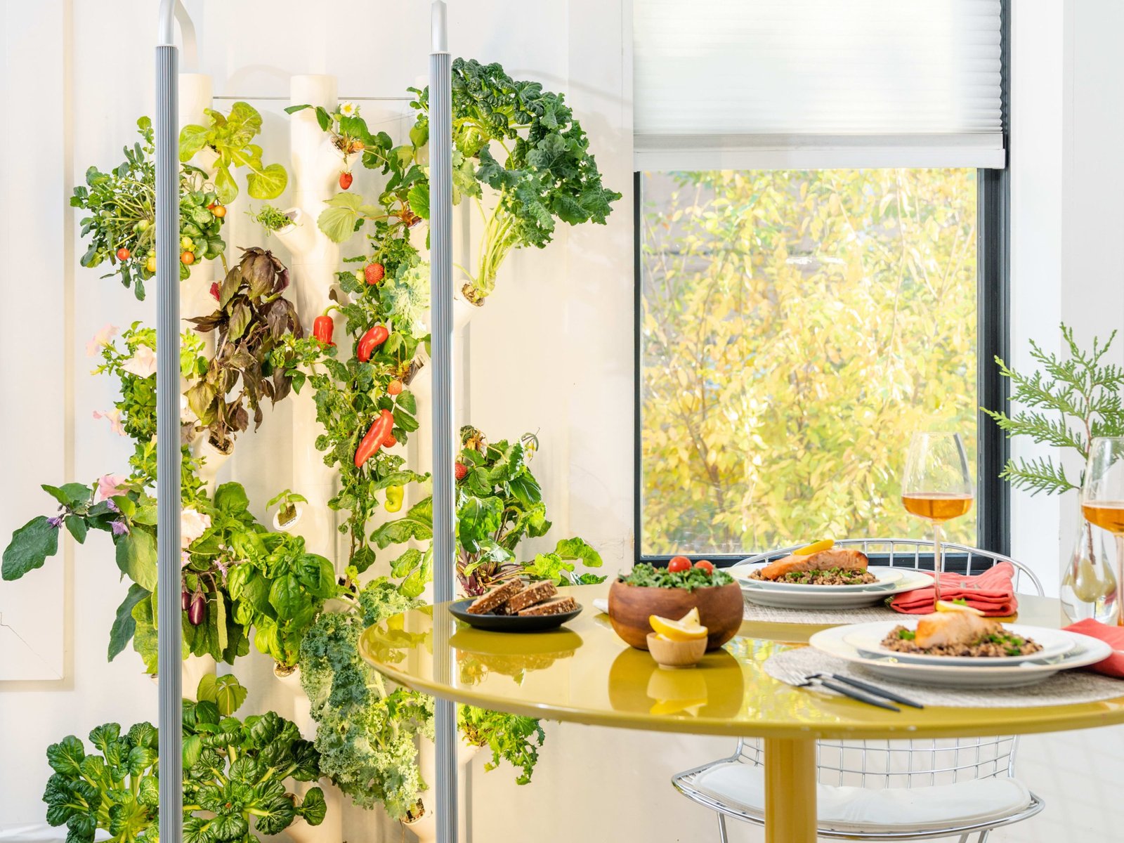 How to Indoor Hydroponic Garden: Thrive Year-Round - Garden
