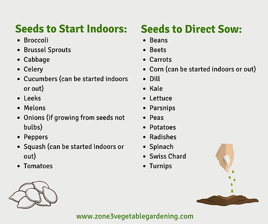 When to Start Garden Vegetable Seeds Indoors: Timing Tips - Garden