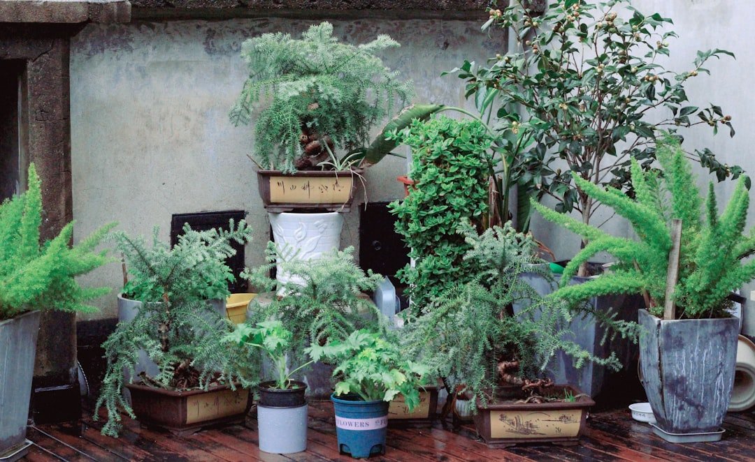How to Grow an Indoor Kitchen Herb Garden: Ultimate Guide - Garden